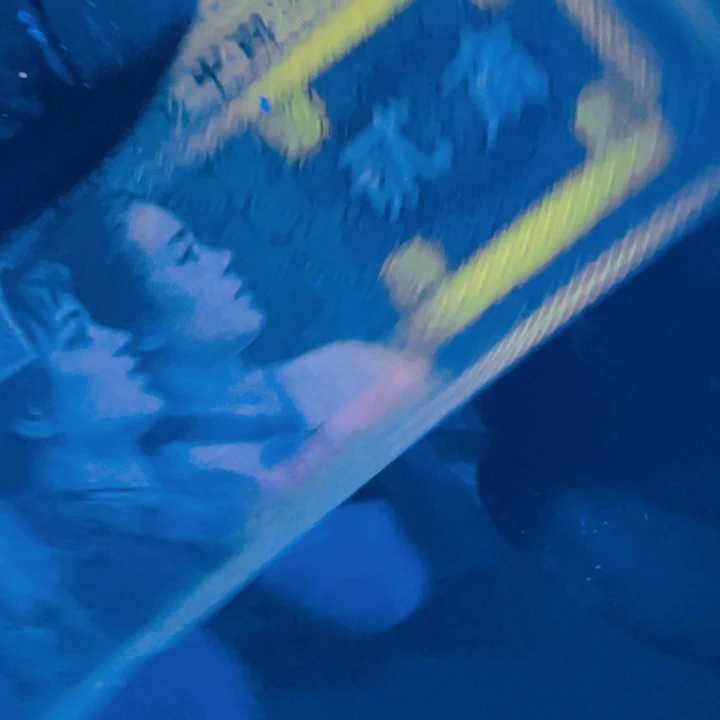 （***子金光国徽超强荧光