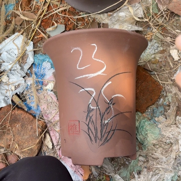 花盆紫砂紫砂的花