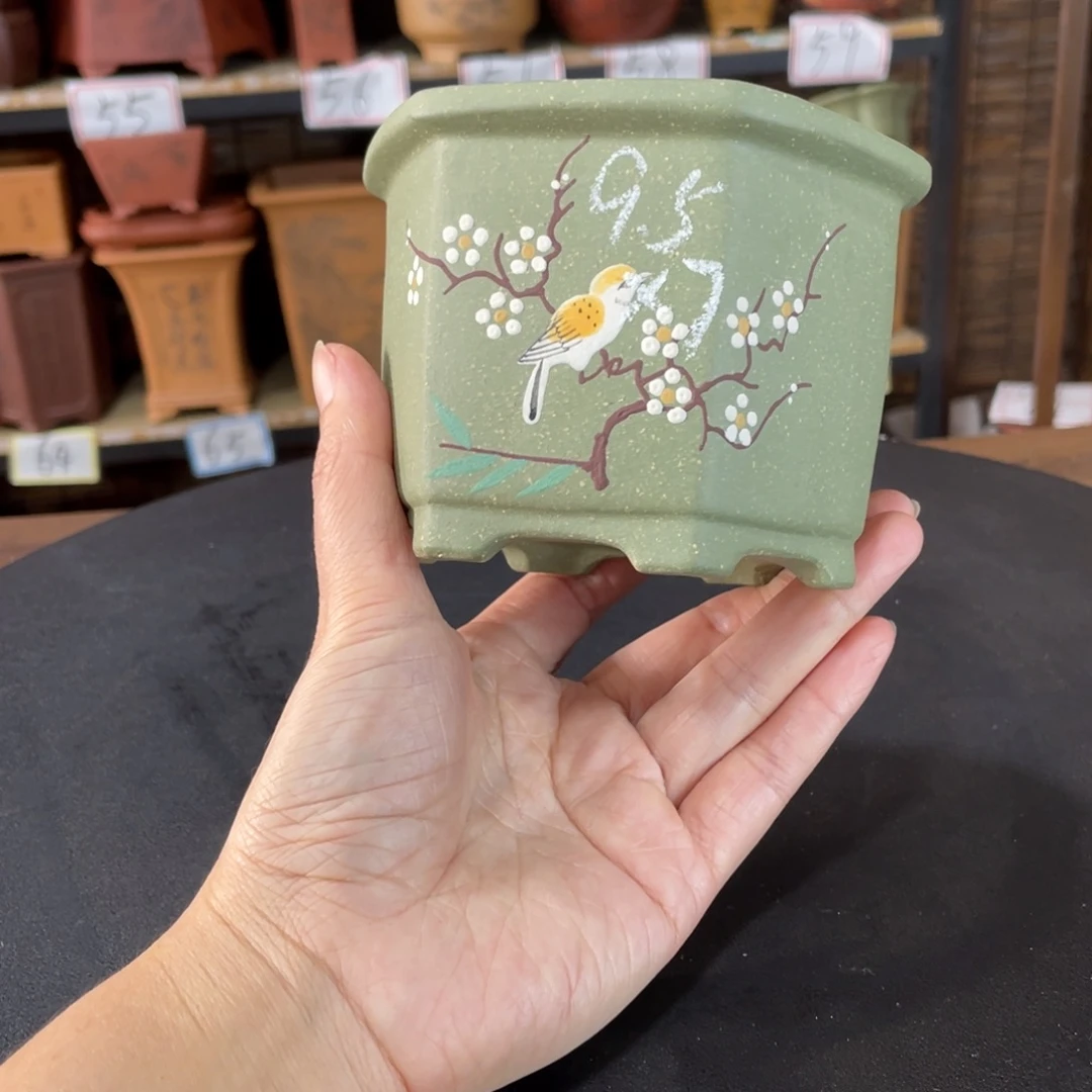 花盆紫砂在干嘛我