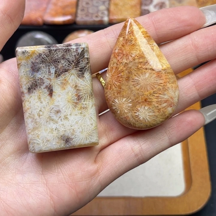 未镶嵌吊坠硅化珊瑚（珊瑚玉）