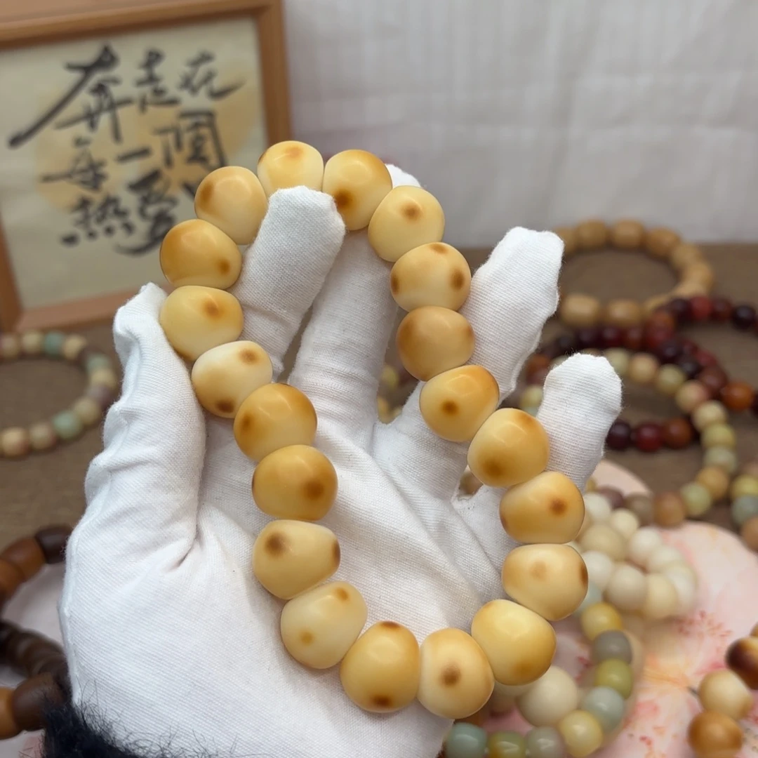 吊坠菩提根/象牙果18干磨瑕疵落地果肠510