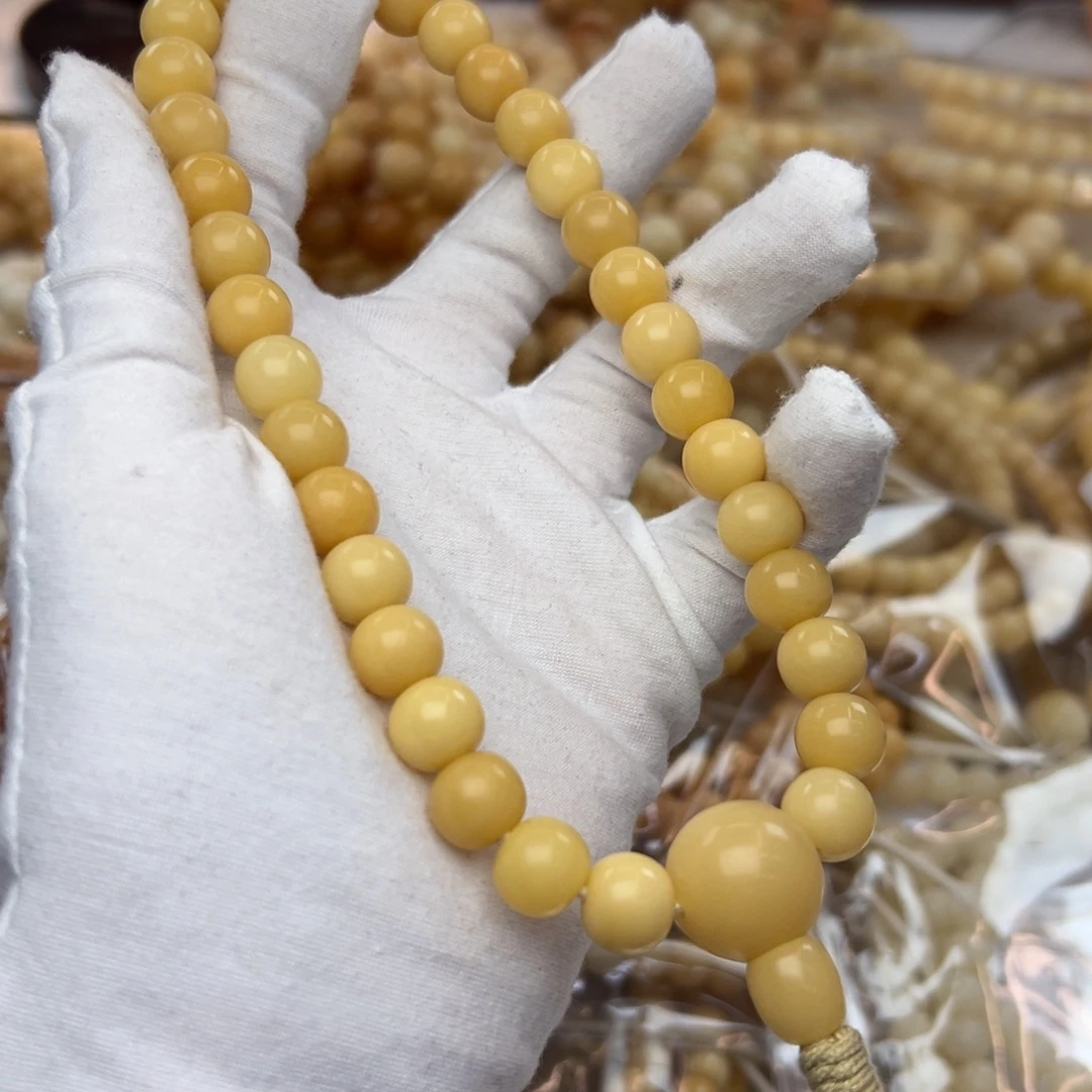 吊坠菩提根/象牙果11树王特价813