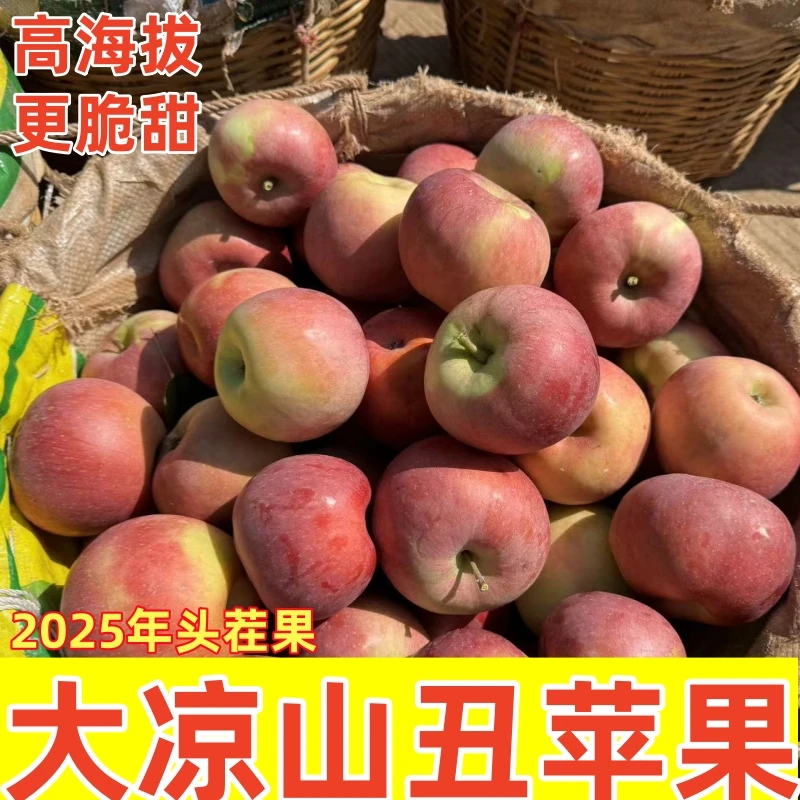 【正宗大凉山盐源丑苹果】高山现摘现发脆甜多汁3/5/8斤新鲜水果LJ