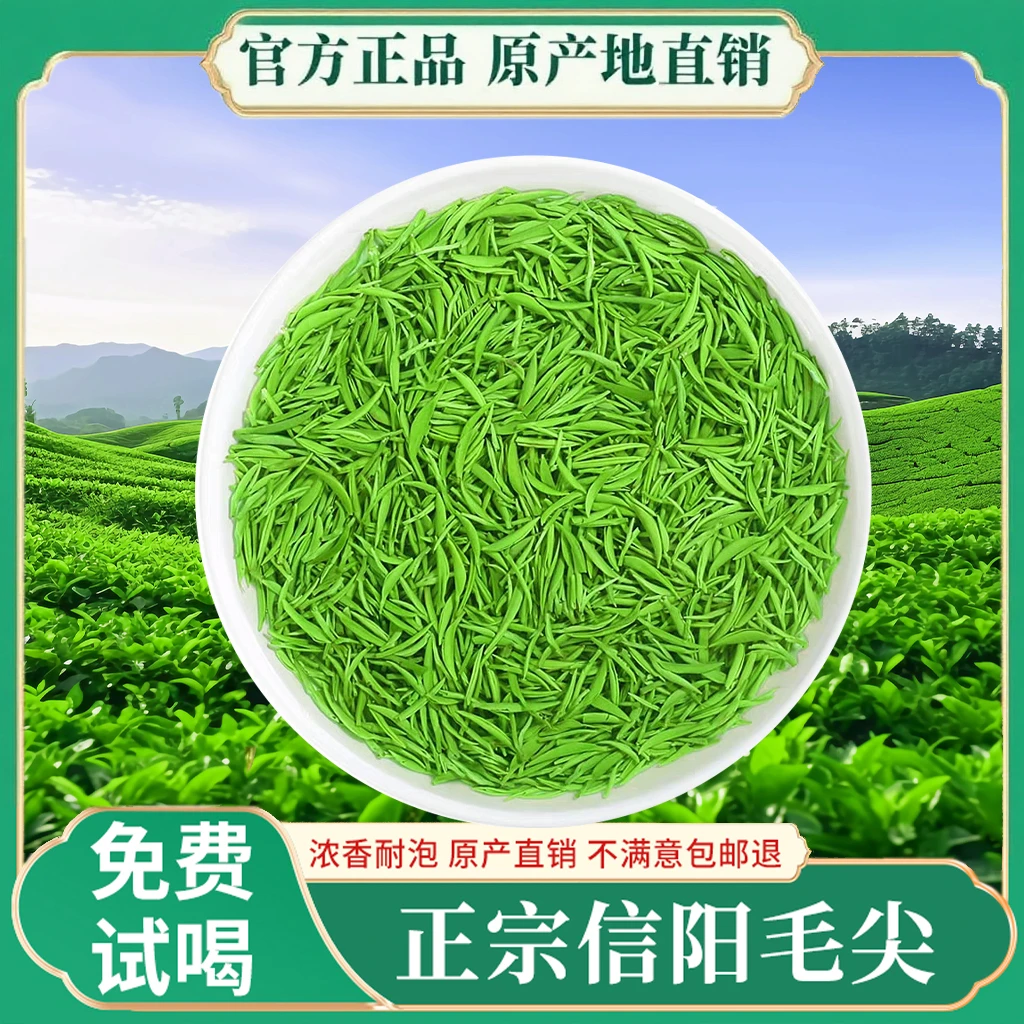 【买半斤送半斤】信阳毛尖2025今年新茶绿茶浓香毛尖茶叶信阳毛尖