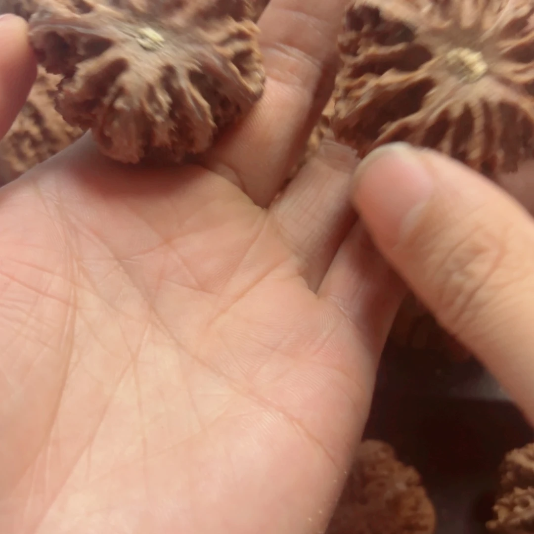 L***4文玩核桃吊坠55555566666