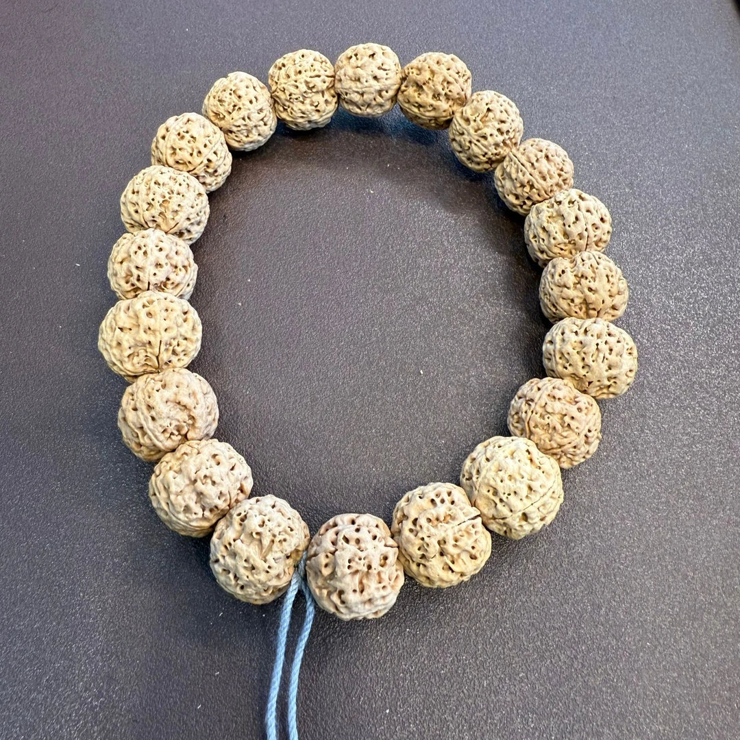 尼泊尔大金刚蜂窝小尺寸 18尺