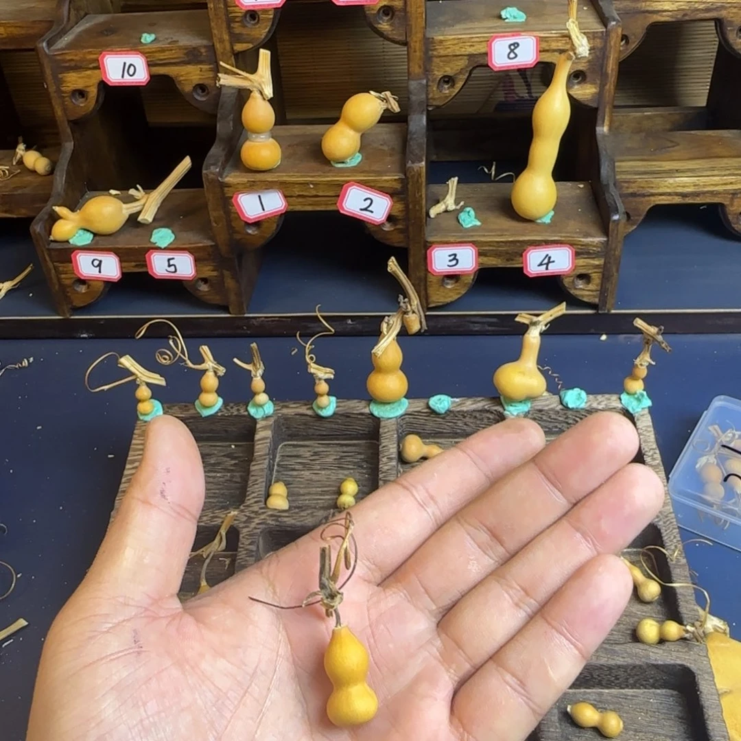 七*吖我是一只小小鸟地域鬼的人生