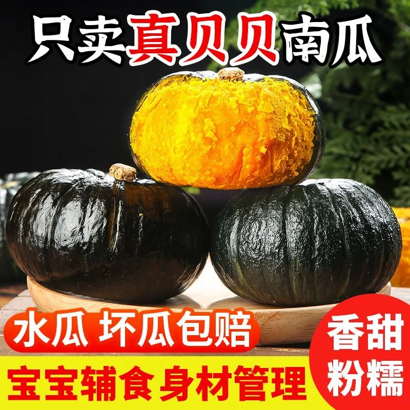 山东潍坊正宗贝贝南瓜粉糯香甜板栗味现摘现发迷你小南瓜