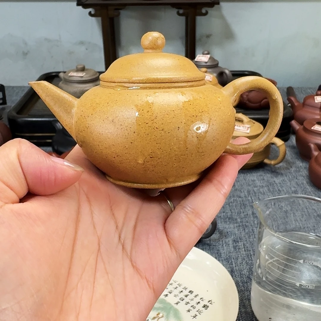 茶壶紫砂全手工紫砂壶水平