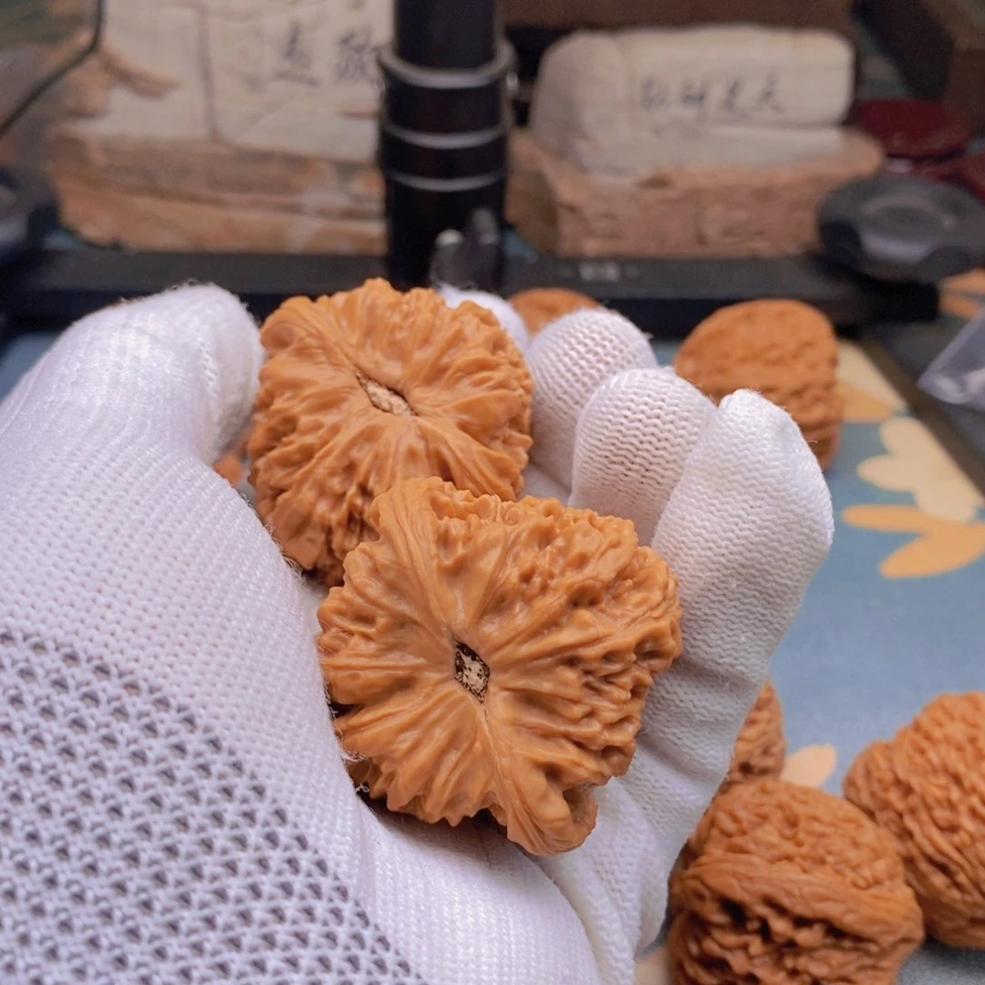 文玩核桃吊坠小*壳文玩核桃