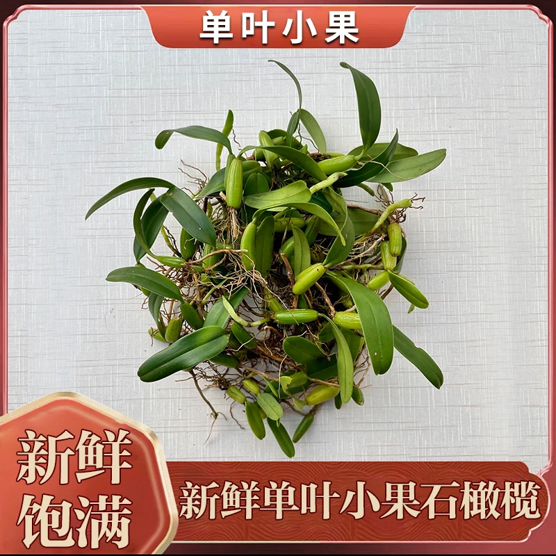福建闽清单叶小果石橄榄清香清甜阿同木农产品125g包邮