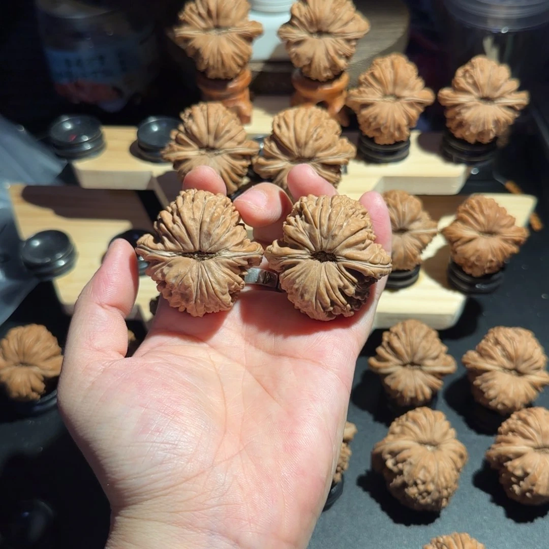 核桃43全品白茬拱桥