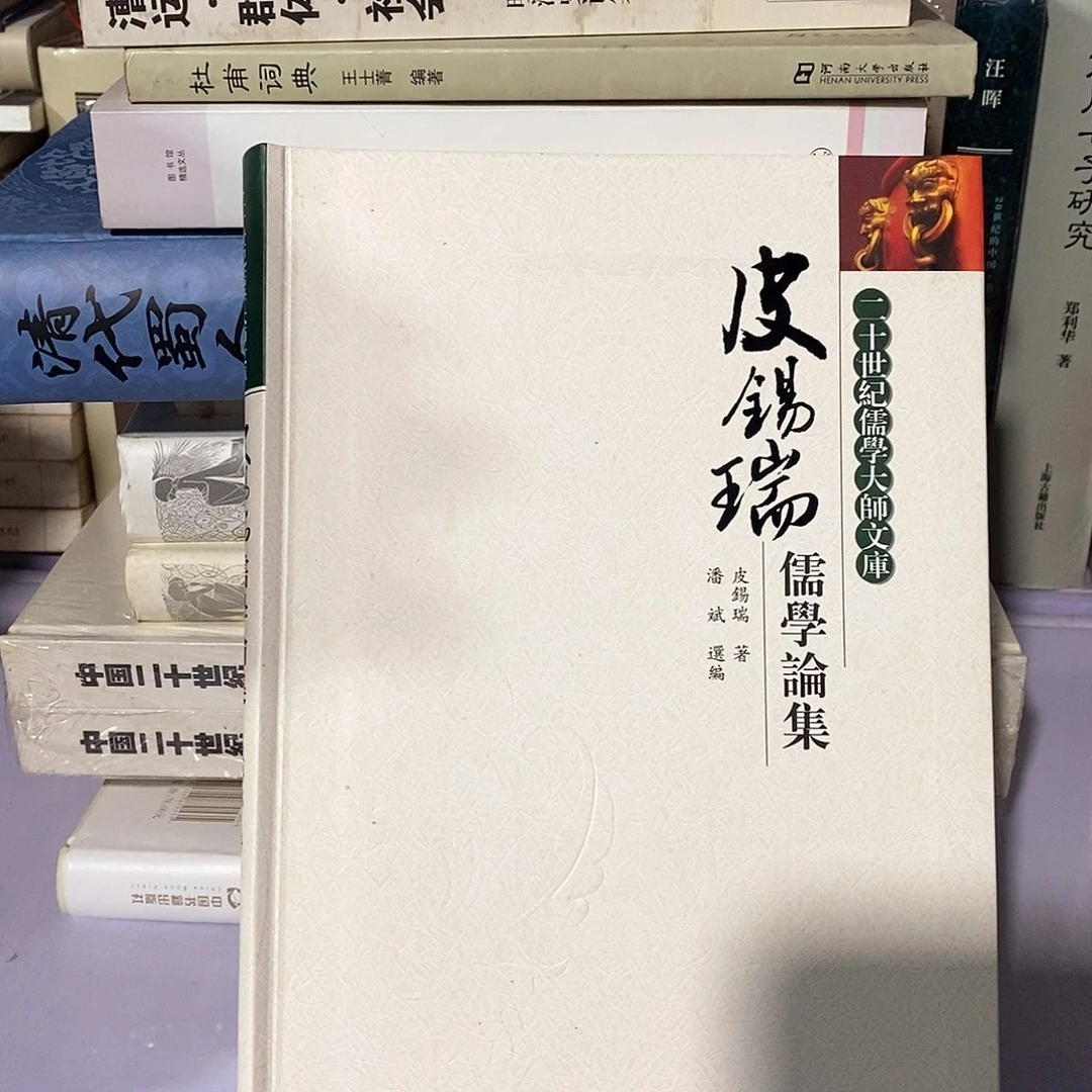 皮老师 儒学论集