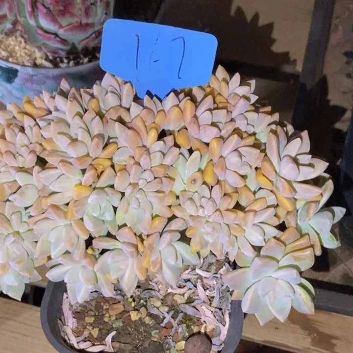 你也快回来吃饭哦我