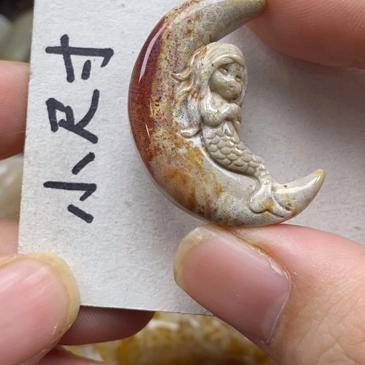 硅化珊瑚（珊瑚玉）未镶嵌颈饰