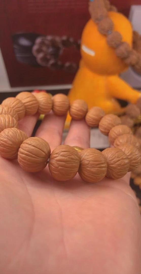 15原生态土豪猴头全品