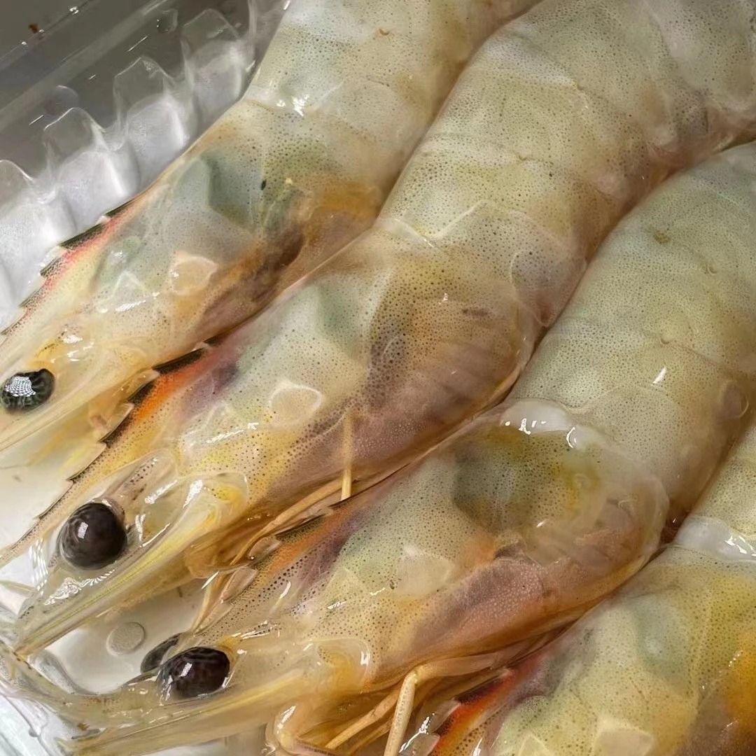 野生白刺虾明虾 极速锁鲜发货 全国顺丰冷链包邮 25-30条/斤