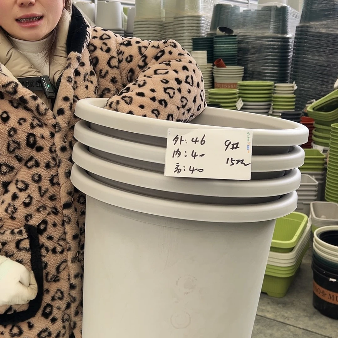 四季盆9#灰白4个无托