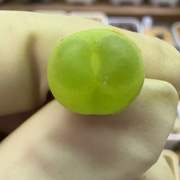 058福利福利福利