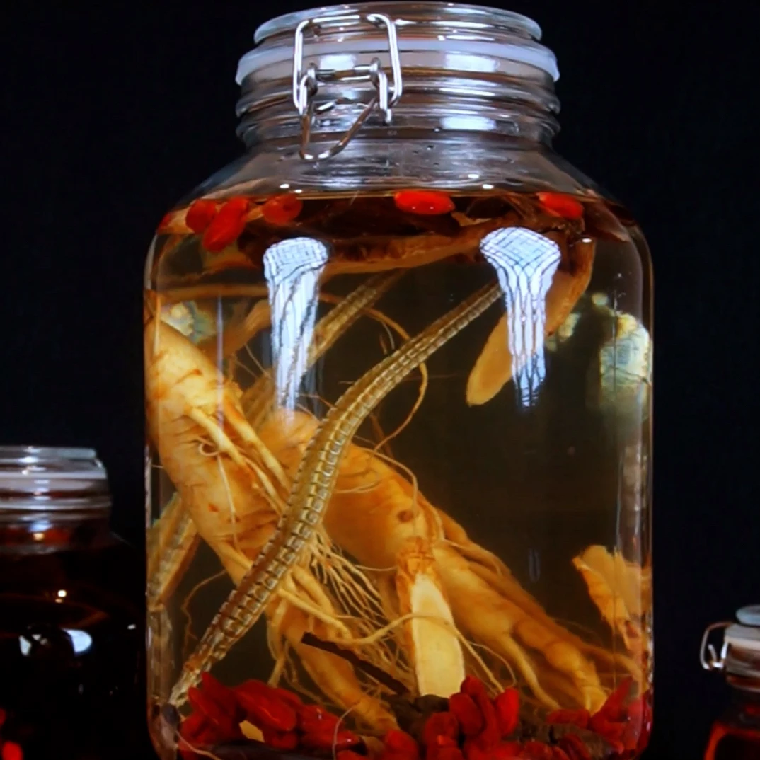 滋补养生 枸杞 泡酒 真材实料送6斤泡酒瓶