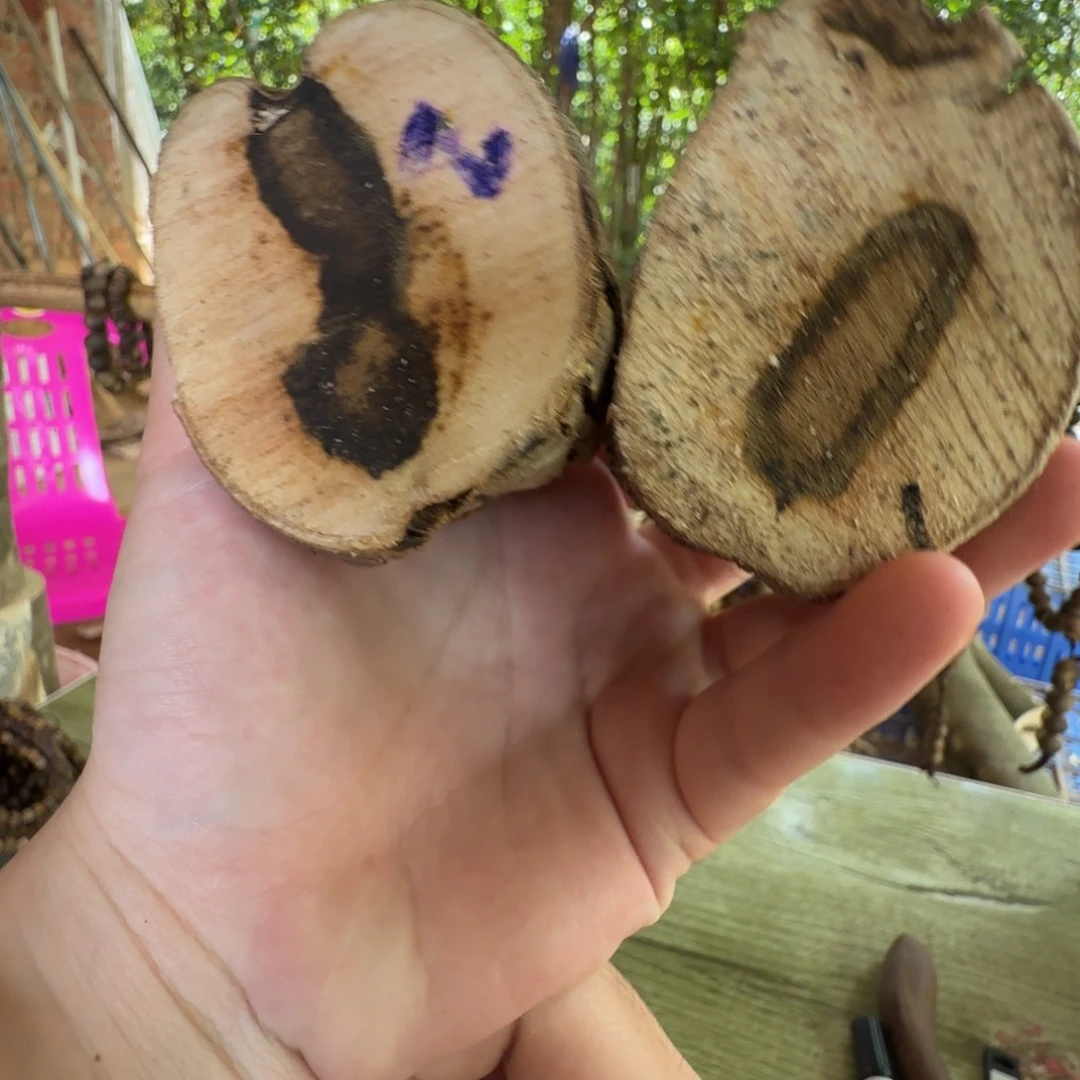 线香奇楠沉香原木