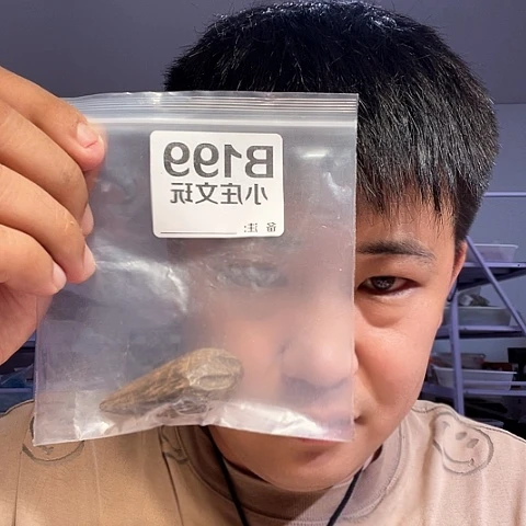 【闪购商品】石英石纯铜199