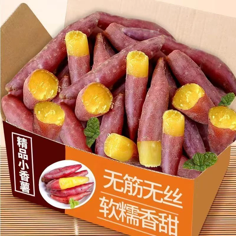 临安天目山小香薯5斤装新鲜农产品板栗红薯蜜薯软糯香甜地瓜番薯