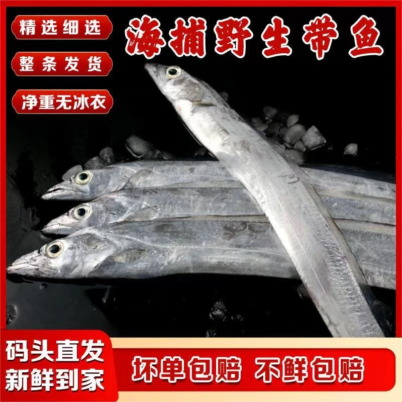 【整条发货 】精品大带鱼净重4斤 黄海湾新鲜小眼带鱼可清蒸