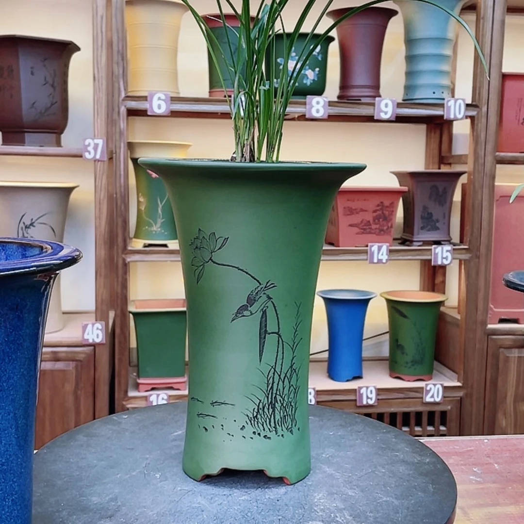 【闪购商品】紫砂花盆兰花452685526555555855