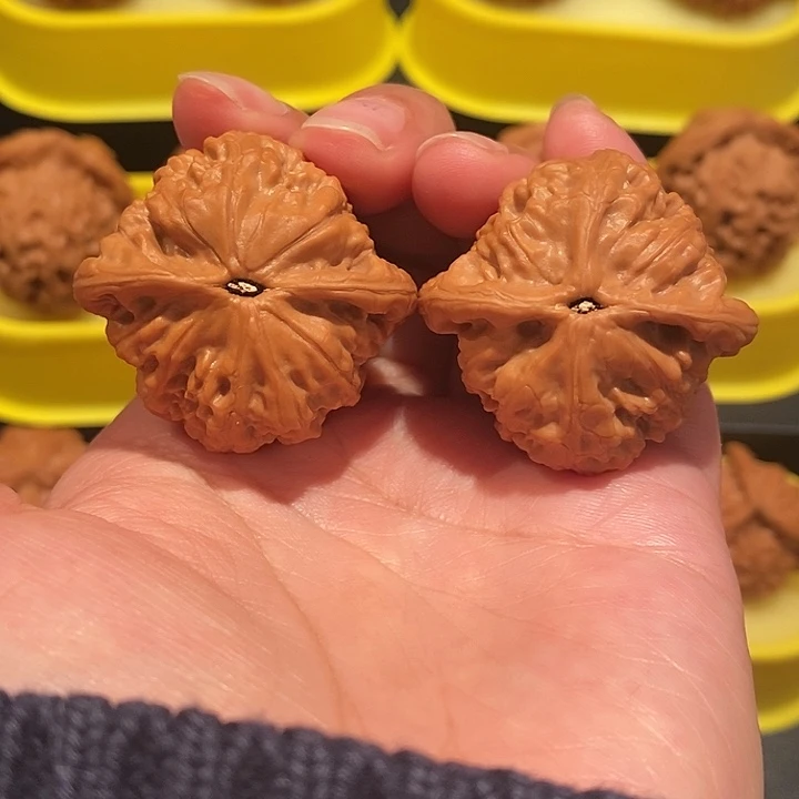 ✨****）文玩核桃38尺玄虎狮子头