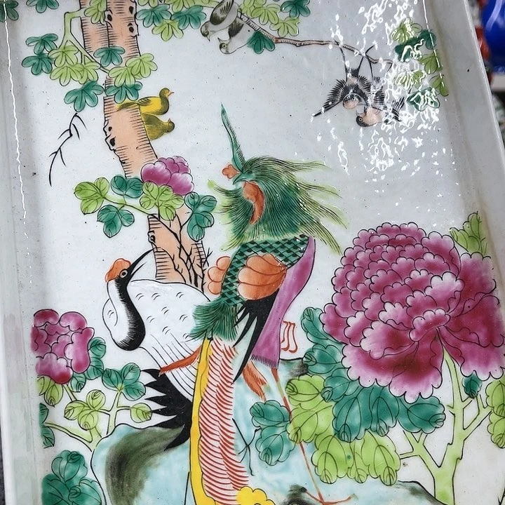 茶宠我要不明天就要考试了