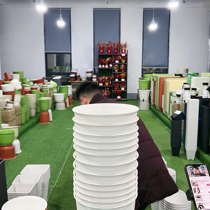 正品高陶口18高18白色8只无托