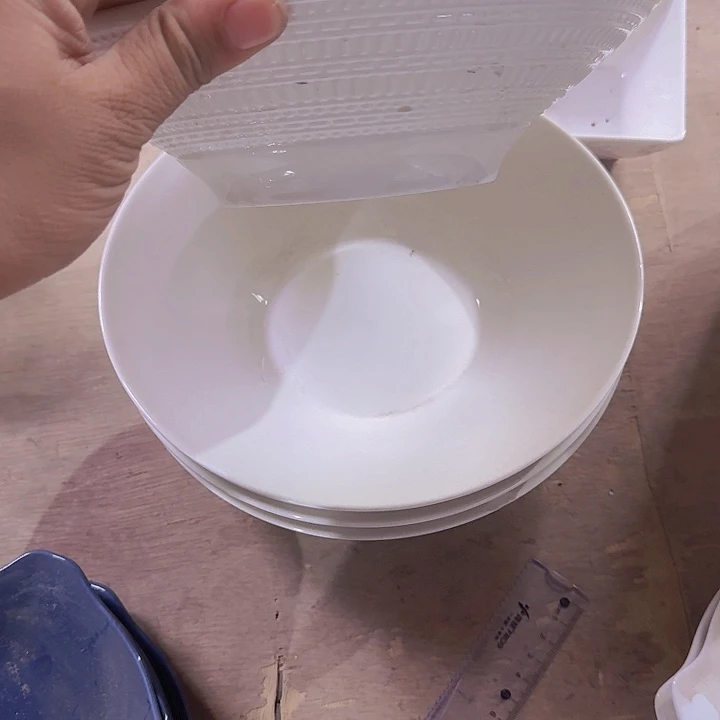 瓷9 英寸   大碗 2 个 浮雕