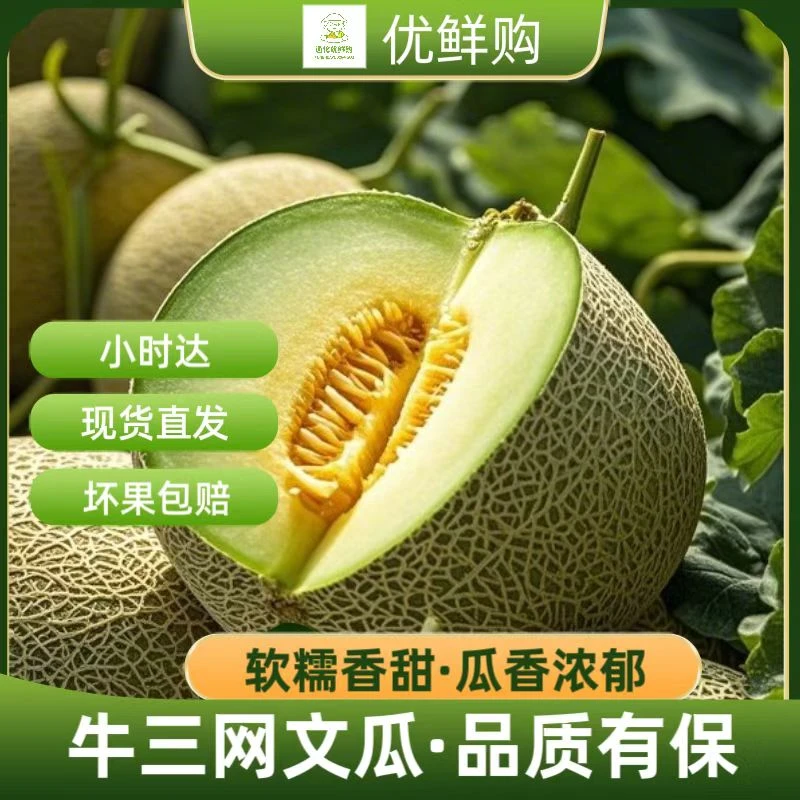牛3网文哈密瓜1个约3斤左右（生鲜产品不支持退换，介意慎拍）