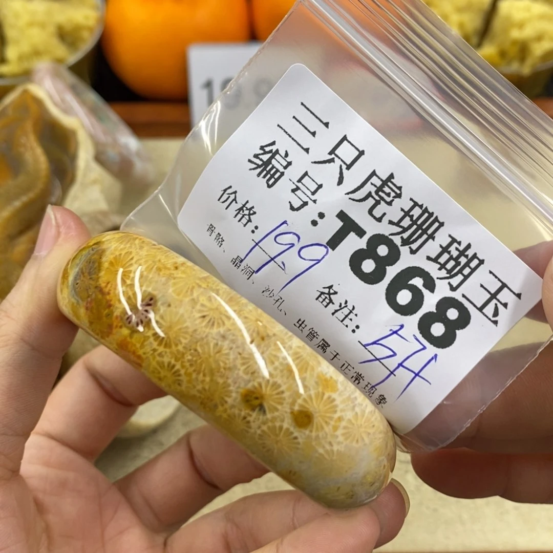硅化珊瑚（珊瑚玉）1未镶嵌用****舞