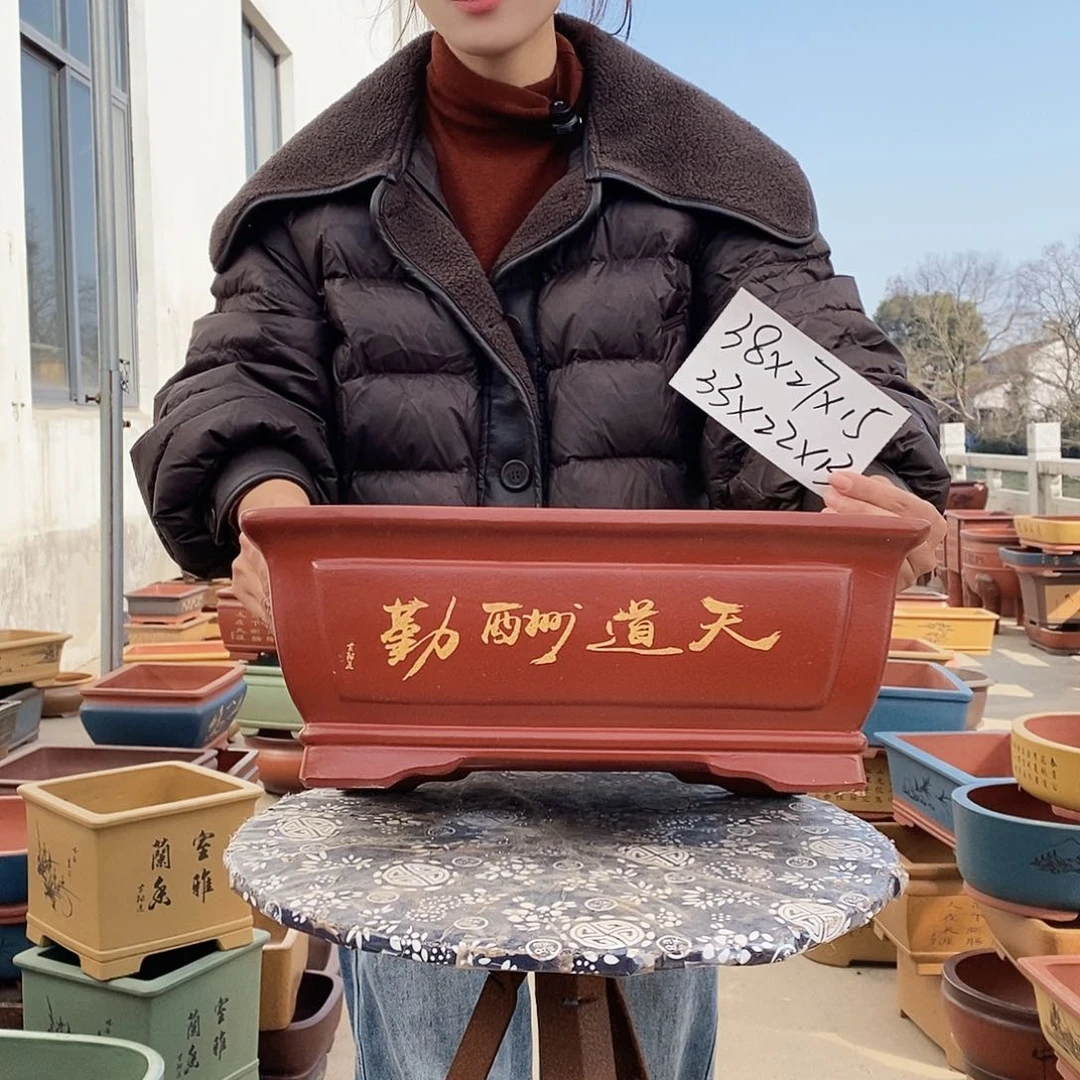 紫砂花盆紫砂花盆