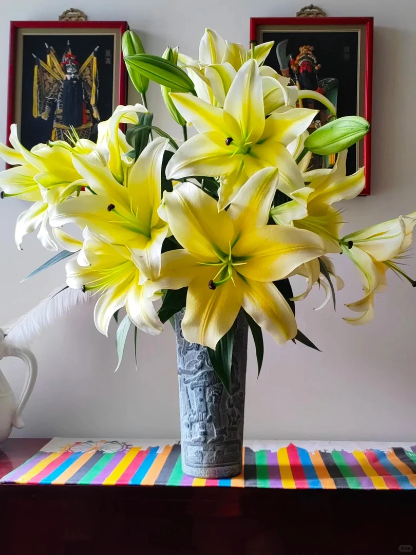 【贵妃花卉】黄天霸百合