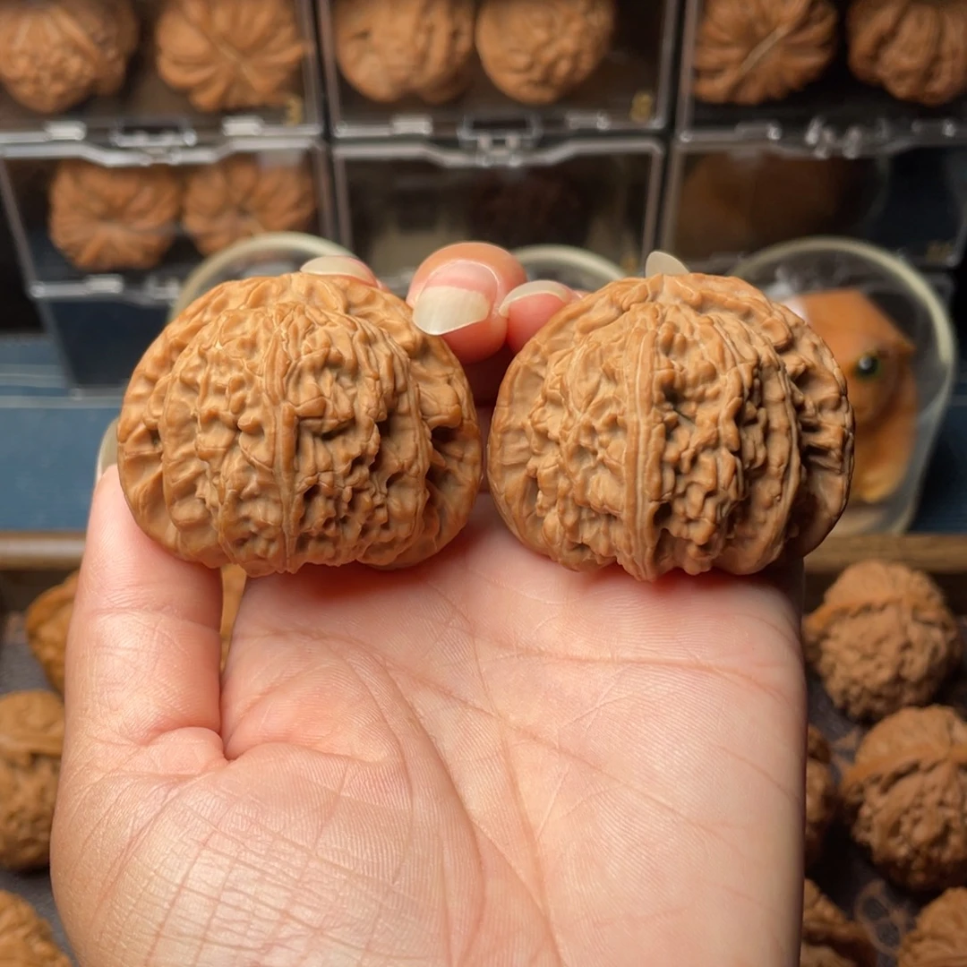 文玩核桃把件47+白狮子