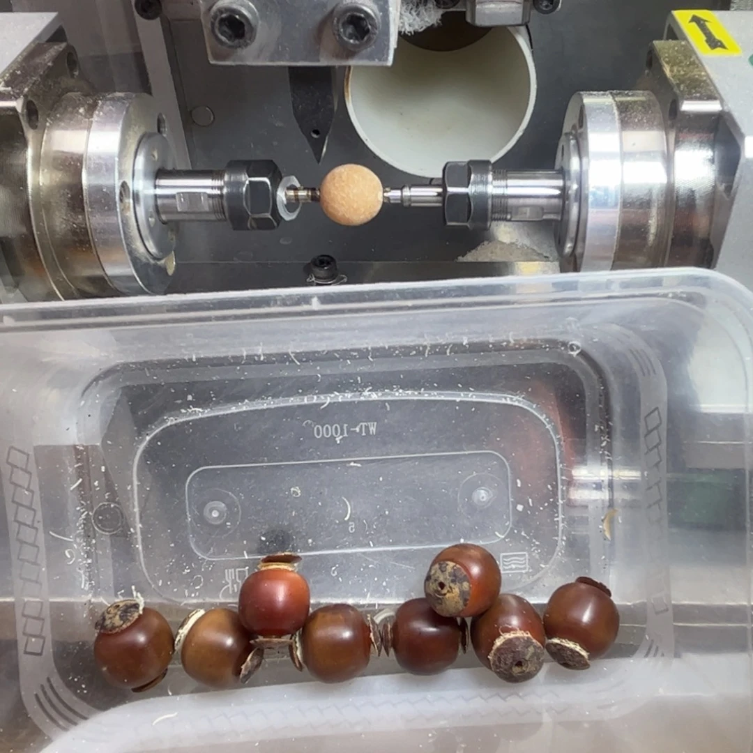 缘***吊坠菩提根/象牙果