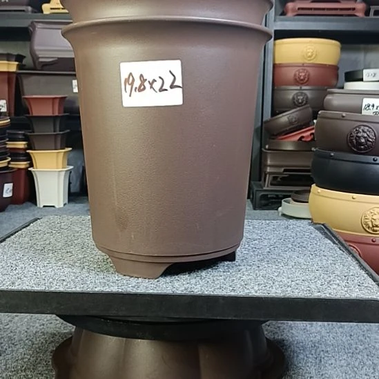 2只19.8cm圆形兰花盆