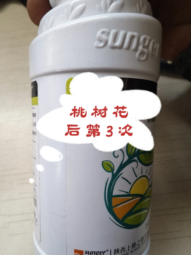 桃树花后第3次，叶面肥