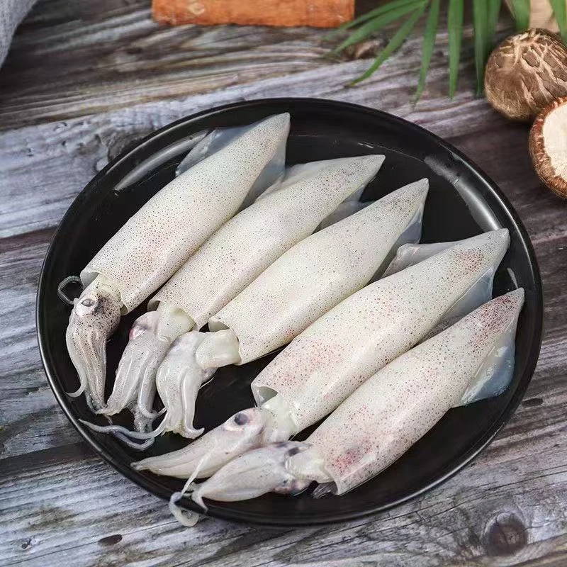 【大侠海鲜】新鲜速冻 海捕 笔管鱼海兔子 500g/包 到手5包