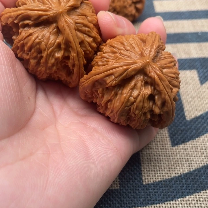 快***晴核桃白狮子44核桃