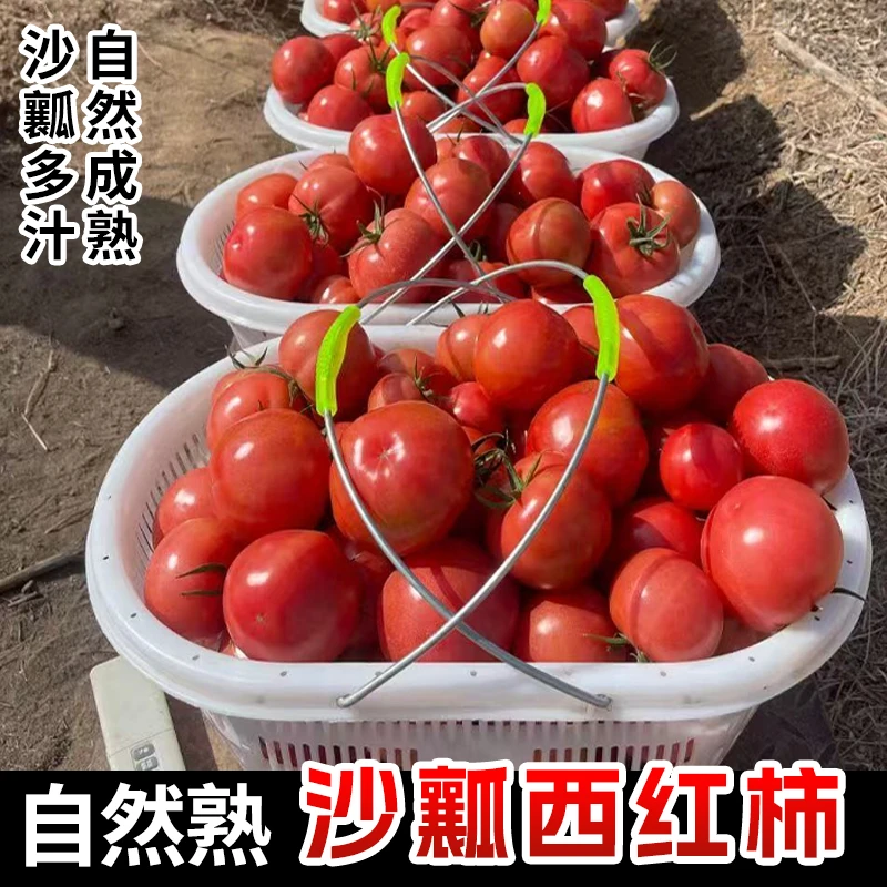 泾阳普罗旺斯西红柿沙瓤大果（12枚）礼盒装西红柿