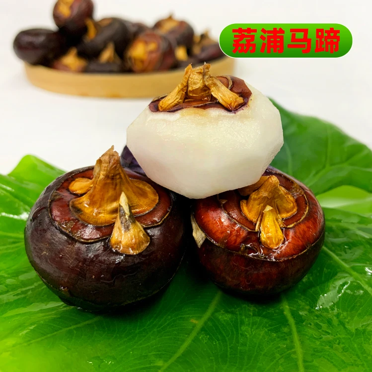 广西新鲜现挖马蹄荸荠中果脆甜多汁当季水果