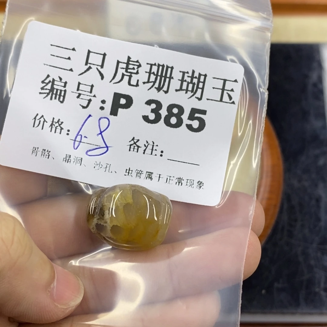 硅化珊瑚（珊瑚玉）1未镶嵌初**蛰