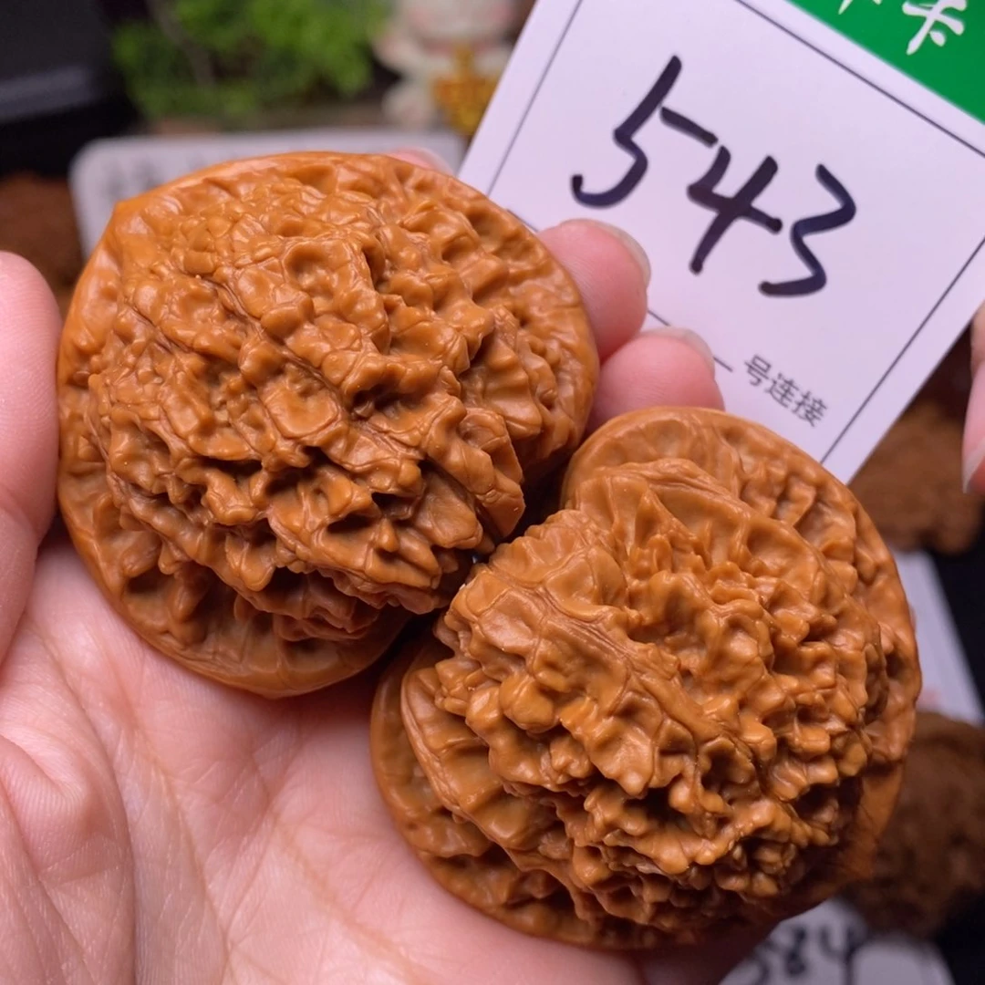 把件文玩核桃543官帽5.3