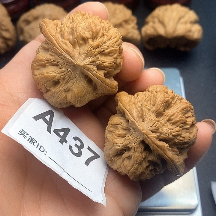 核桃华北将军榜4.3，克重49