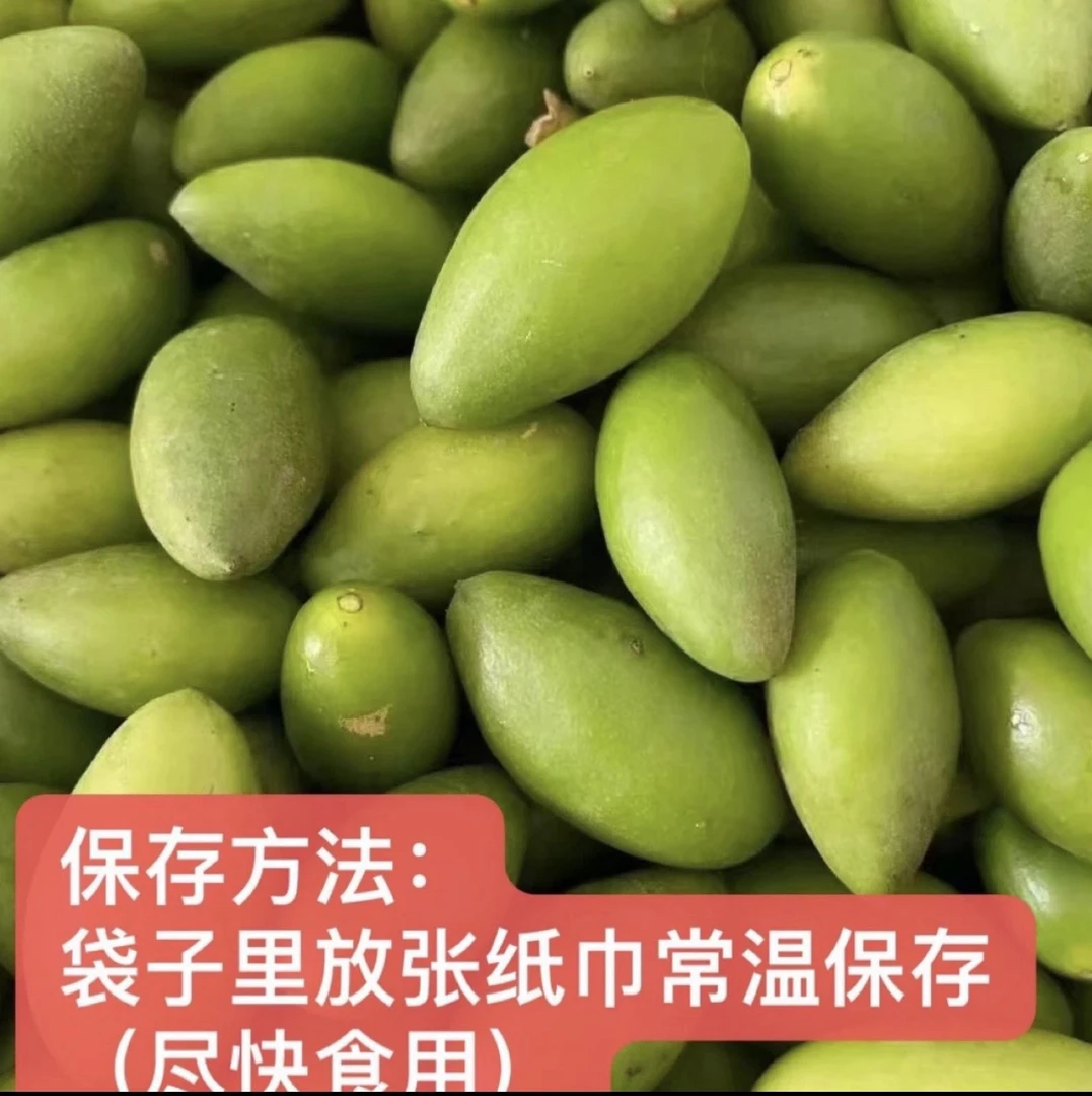 恒昌精选 • 橄榄脆嫩现摘老树新果福利放送清香回甘