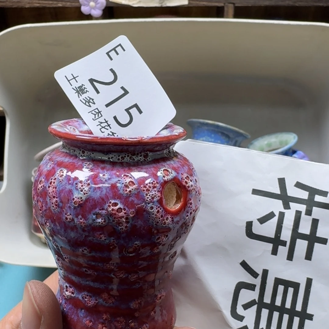 陶瓷艺术设计与制作